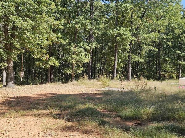 229 Elmbrook Lane, Yellville, AR 72687