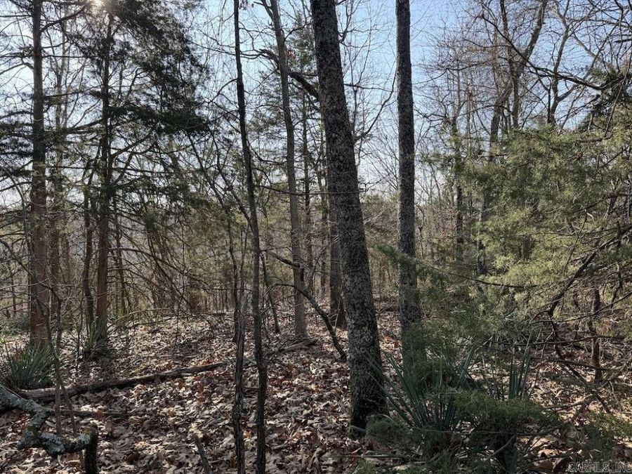 Property Image 18
