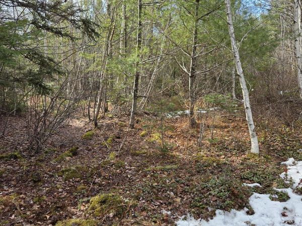 0 Northfield Road , Marshfield, ME 04652