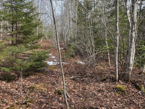 0 lots 3&4 Northfield Road , Marshfield, ME 04654