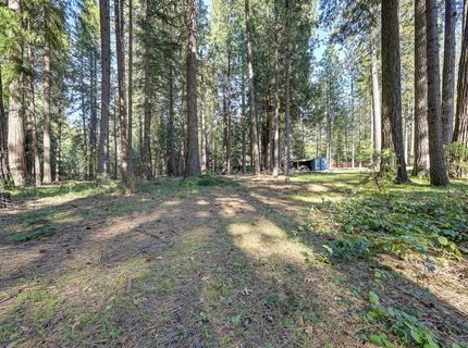 701 Sawmill Rd, Alta, CA 95701 Photo