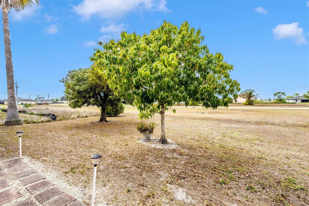 1308 NW 15th Place, Cape Coral, FL 33993 Photo