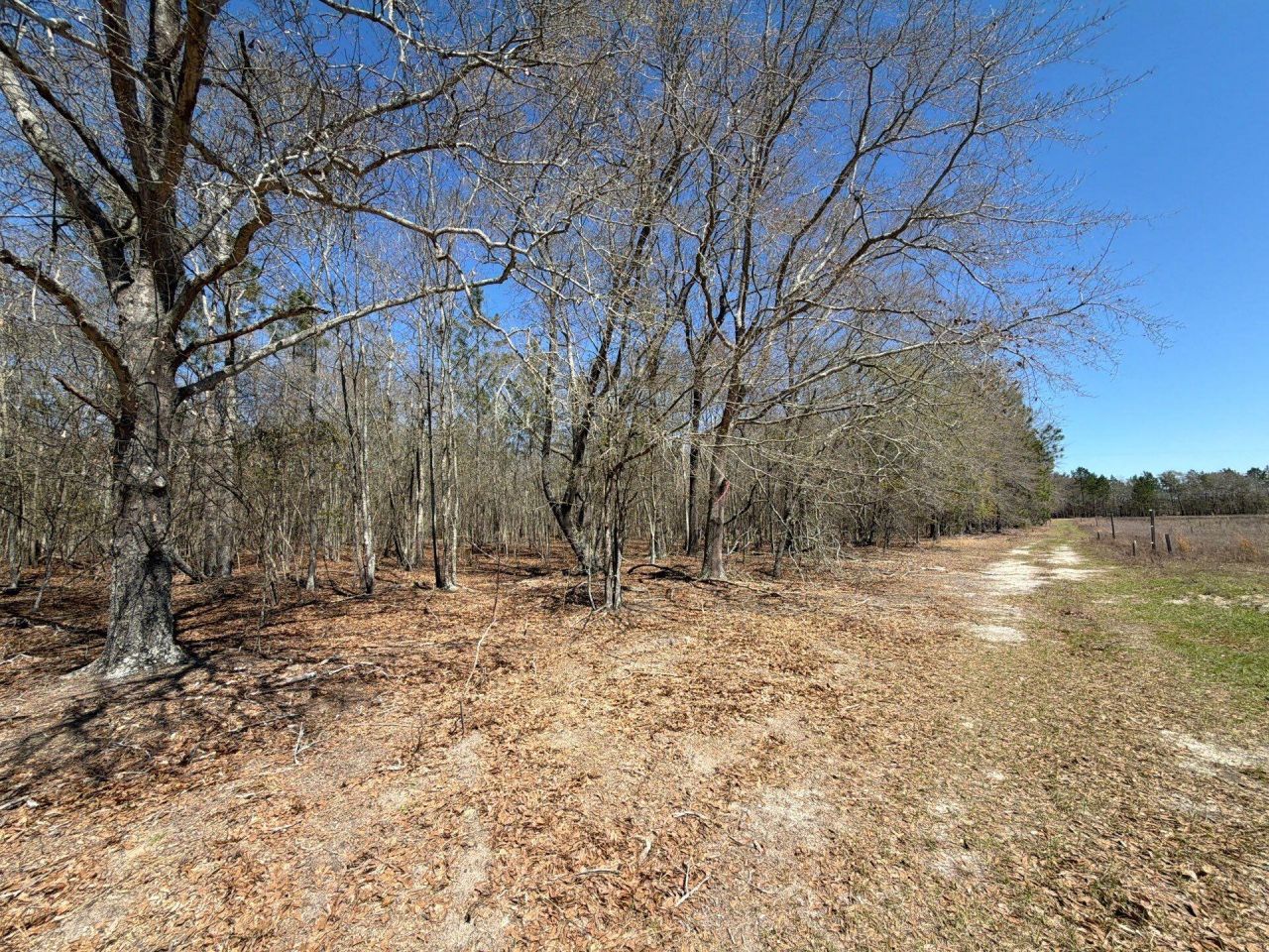 Bhl 9 Boise Cascade Photo 10