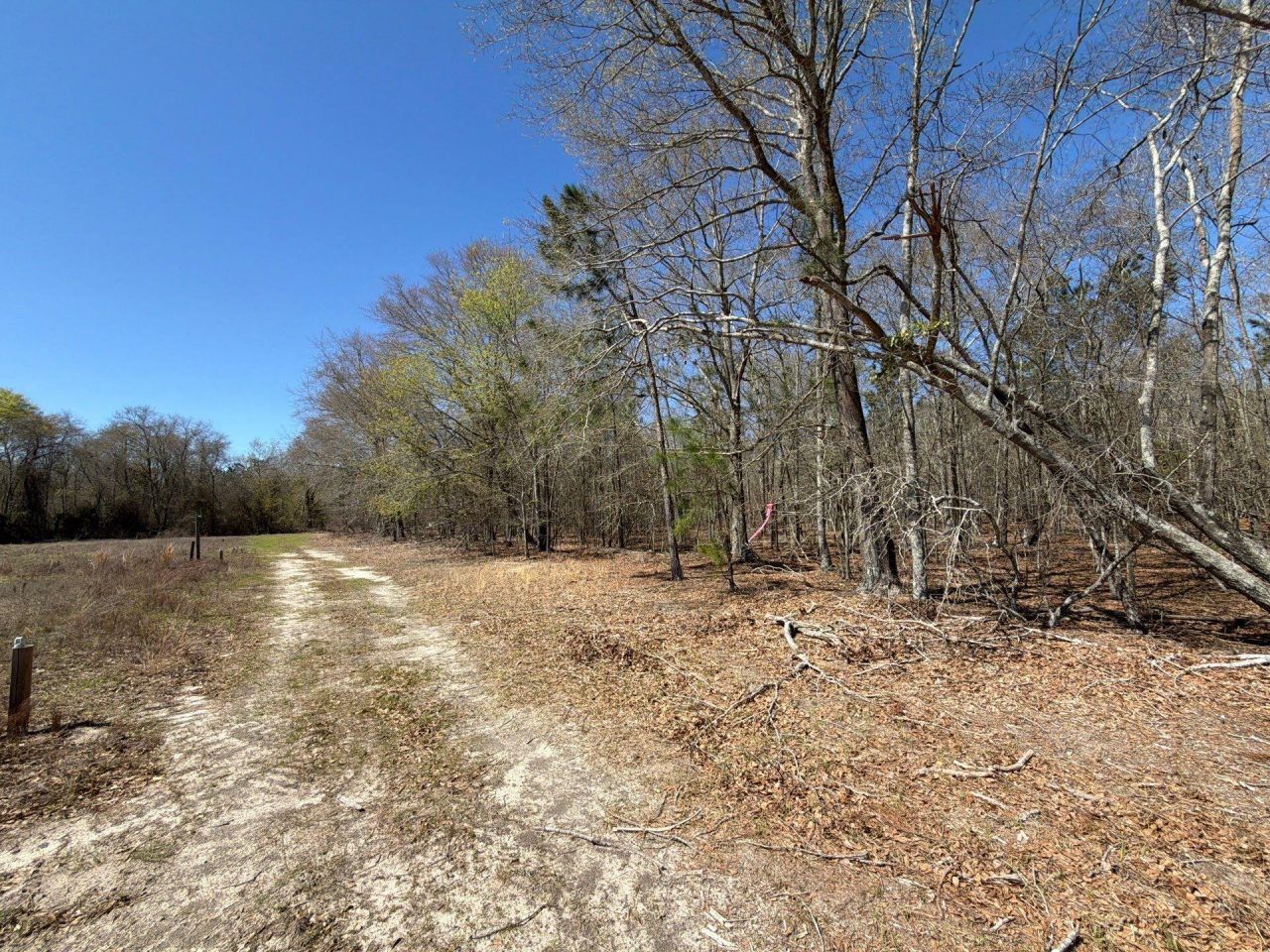 Bhl 9 Boise Cascade Photo 12