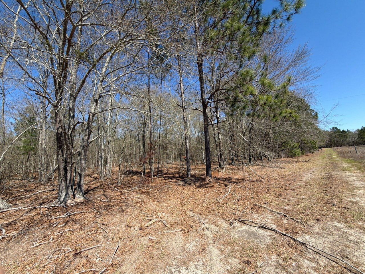 Bhl 9 Boise Cascade Photo 13