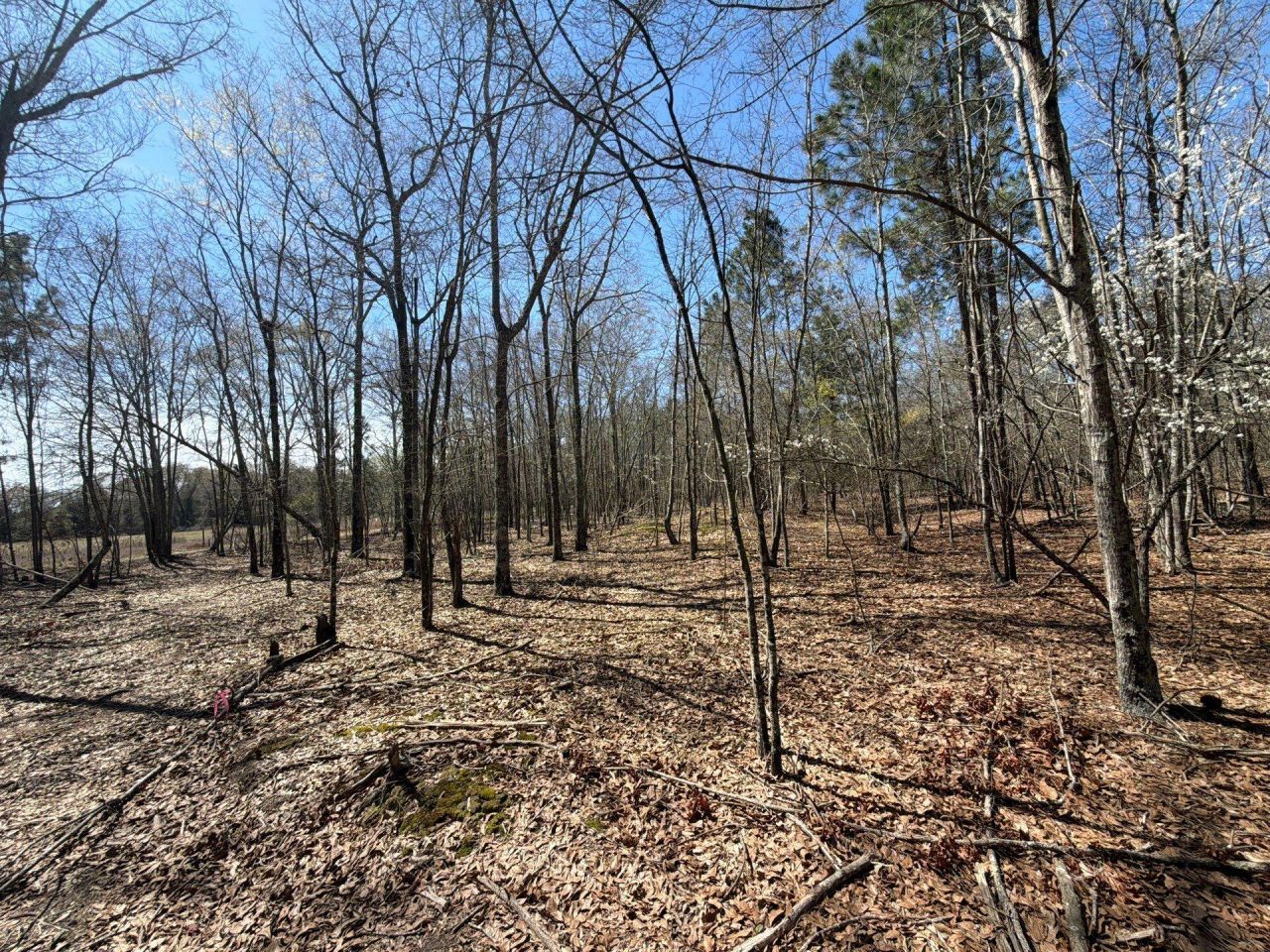 Bhl 9 Boise Cascade Photo 14