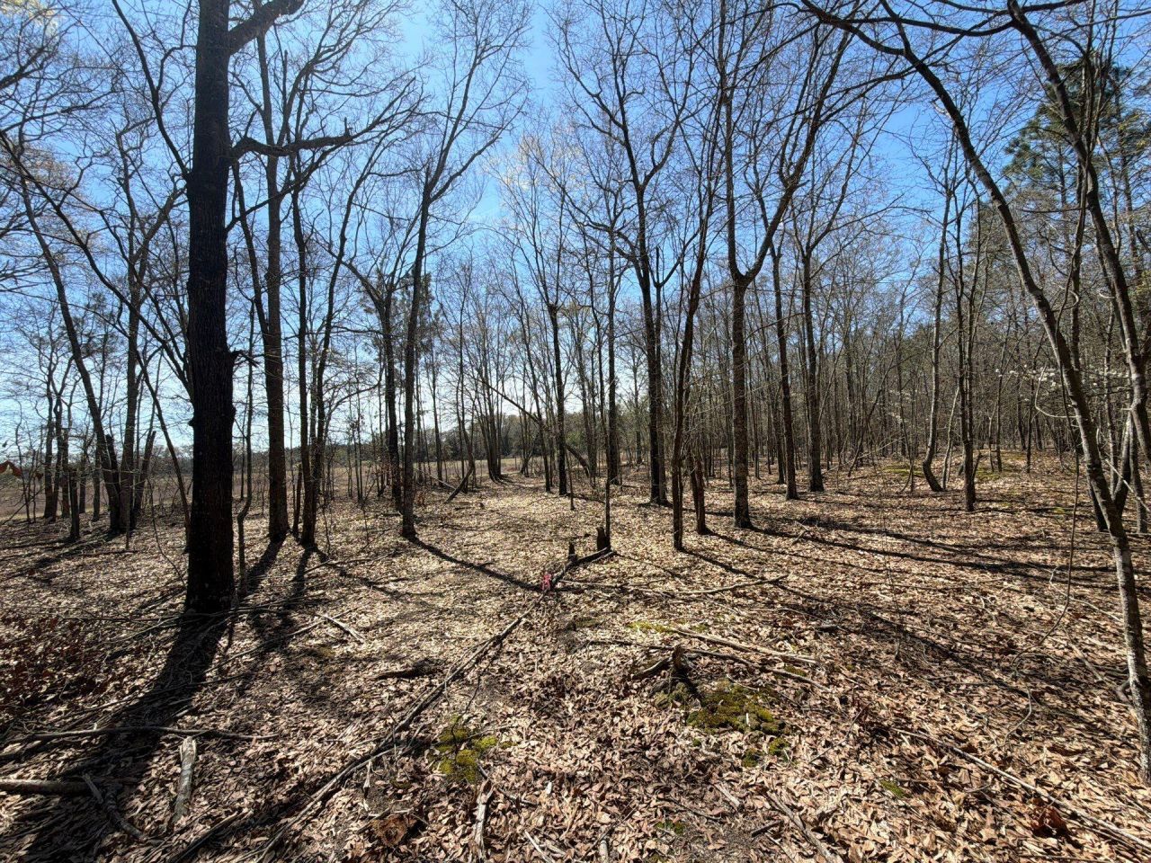 Bhl 9 Boise Cascade Photo 15