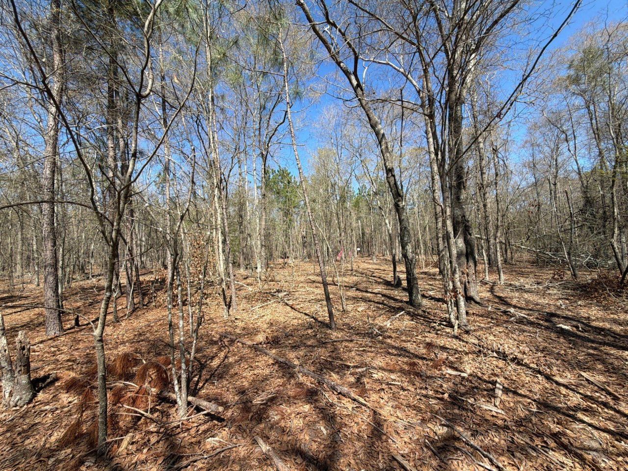 Bhl 9 Boise Cascade Photo 16