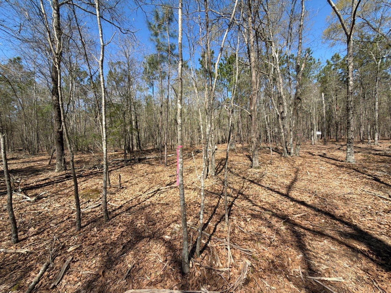 Bhl 9 Boise Cascade Photo 18