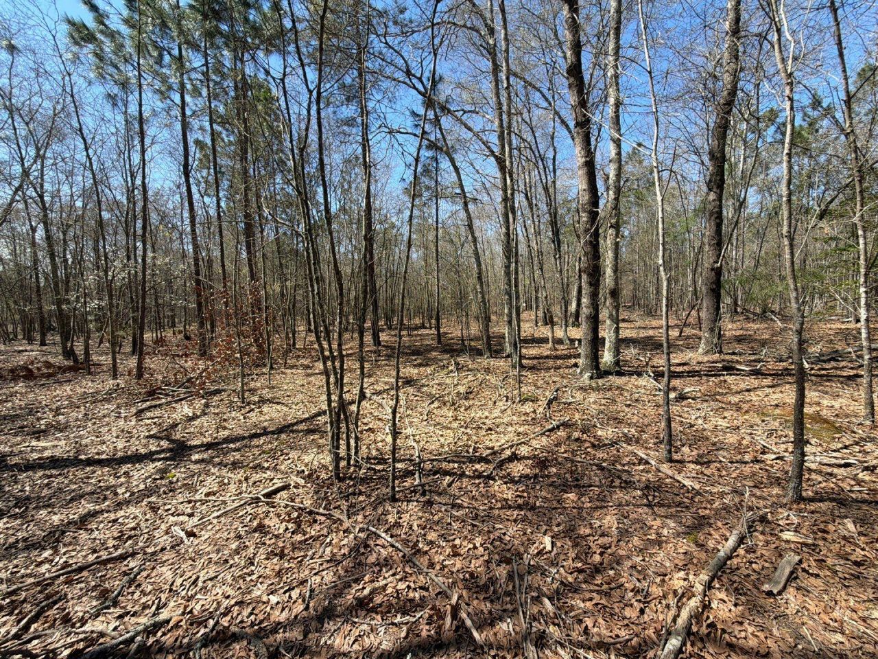 Bhl 9 Boise Cascade Photo 19