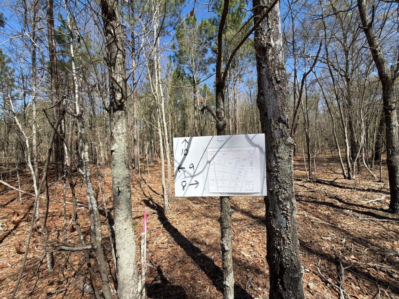 Bhl 9 Boise Cascade Photo 20