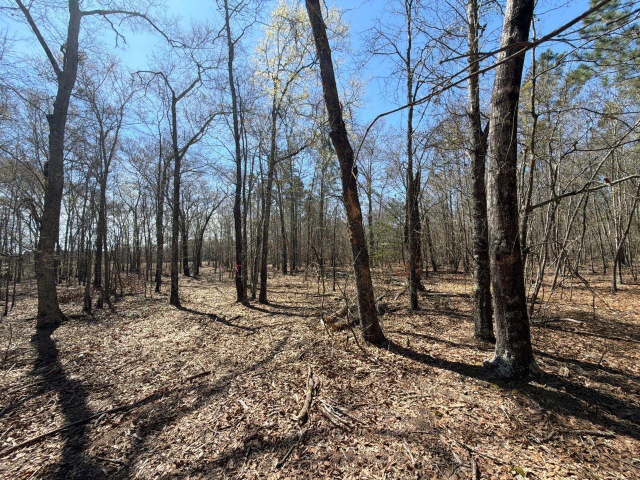 Bhl 9 Boise Cascade Photo 21