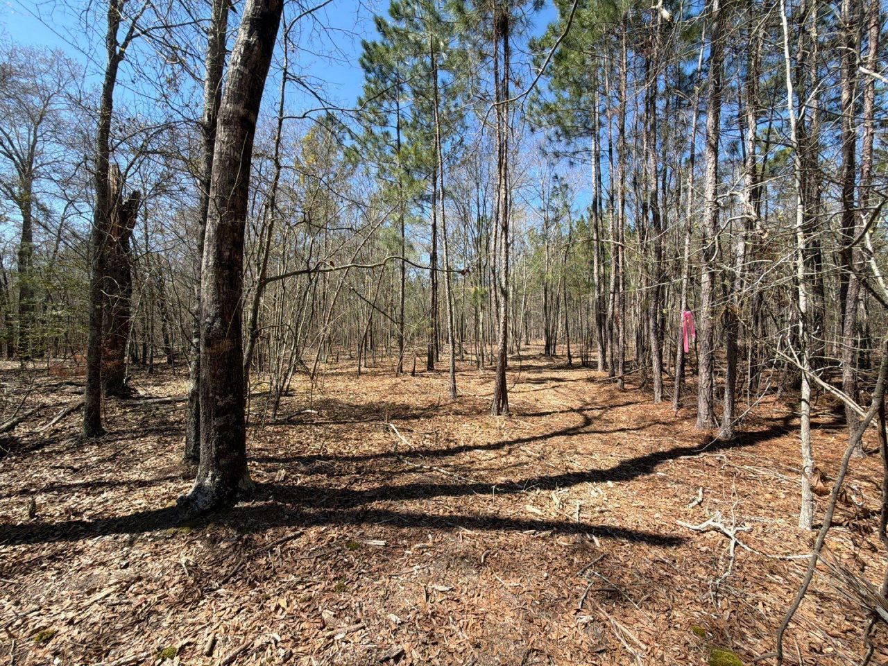 Bhl 9 Boise Cascade Photo 22