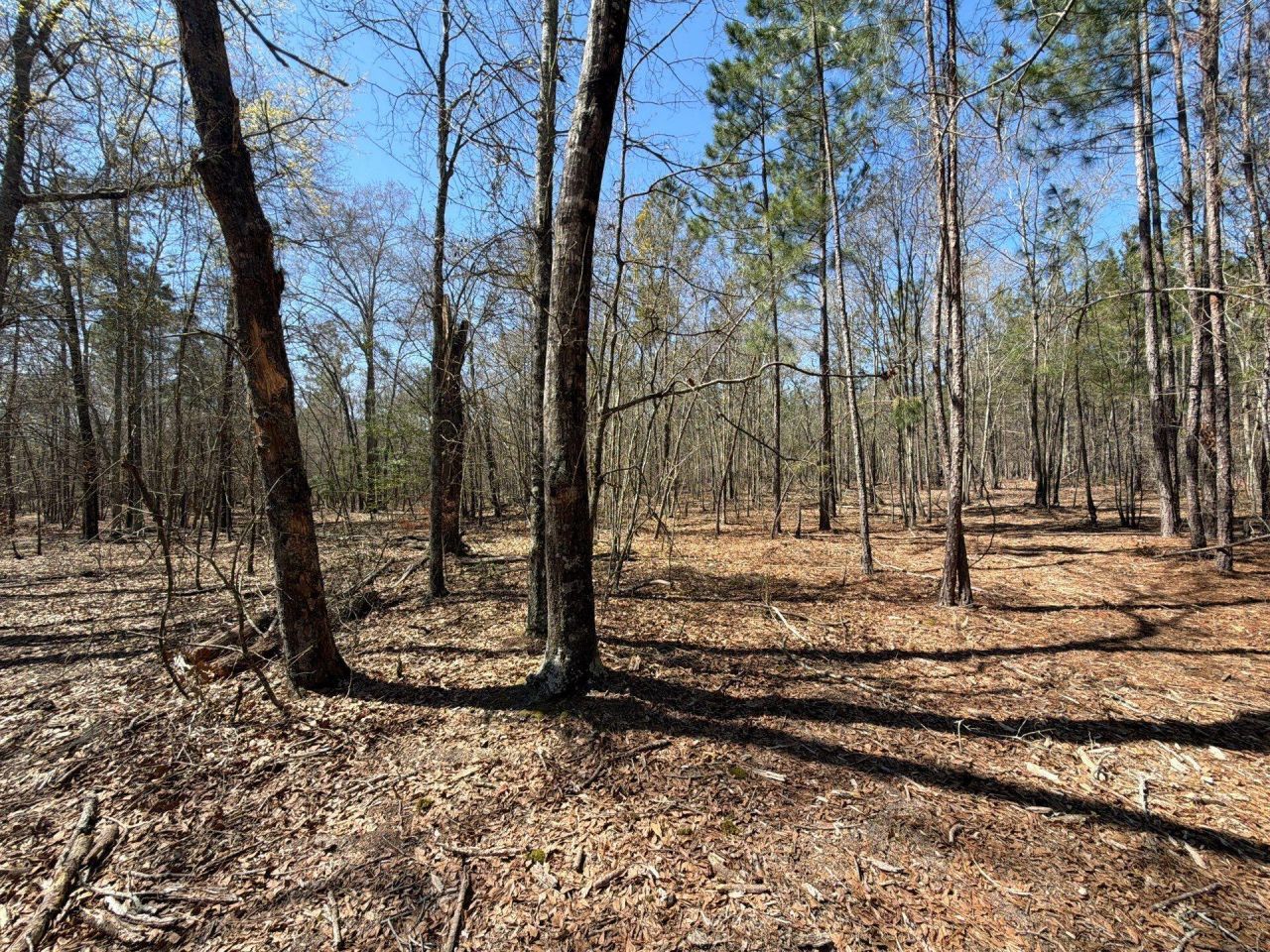 Bhl 9 Boise Cascade Photo 23