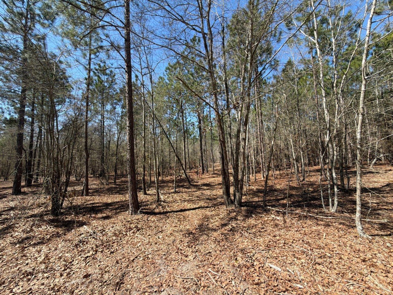 Bhl 9 Boise Cascade Photo 24