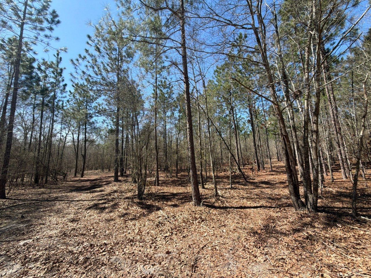 Bhl 9 Boise Cascade Photo 25