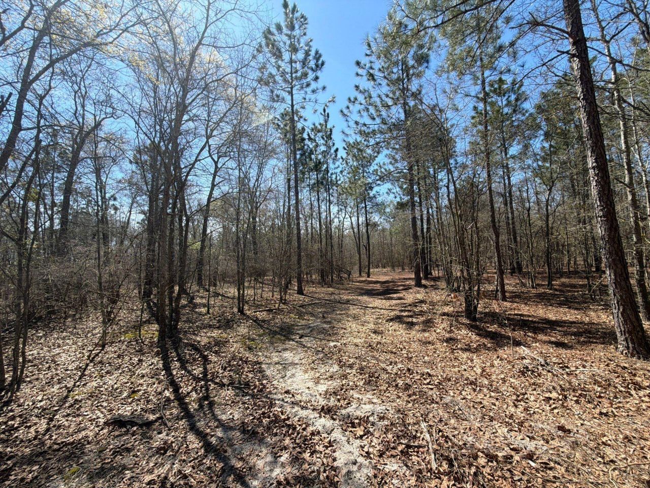 Bhl 9 Boise Cascade Photo 26