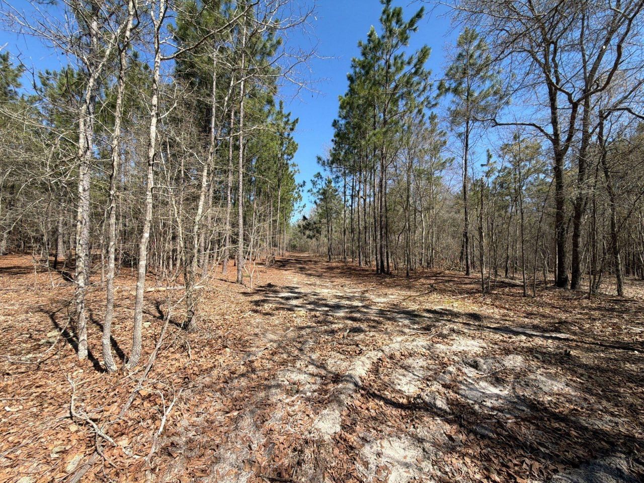 Bhl 9 Boise Cascade Photo 27