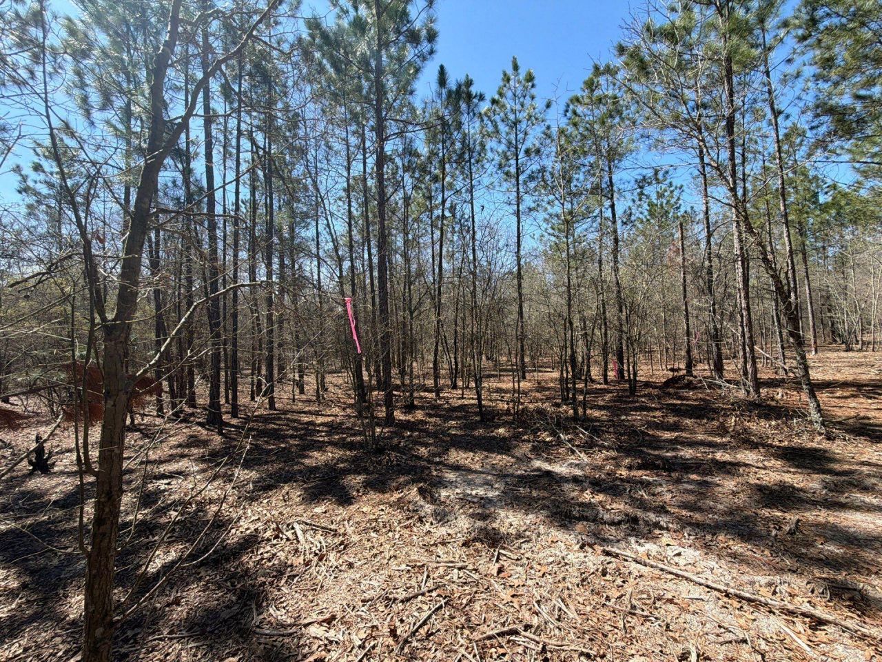 Bhl 9 Boise Cascade Photo 28