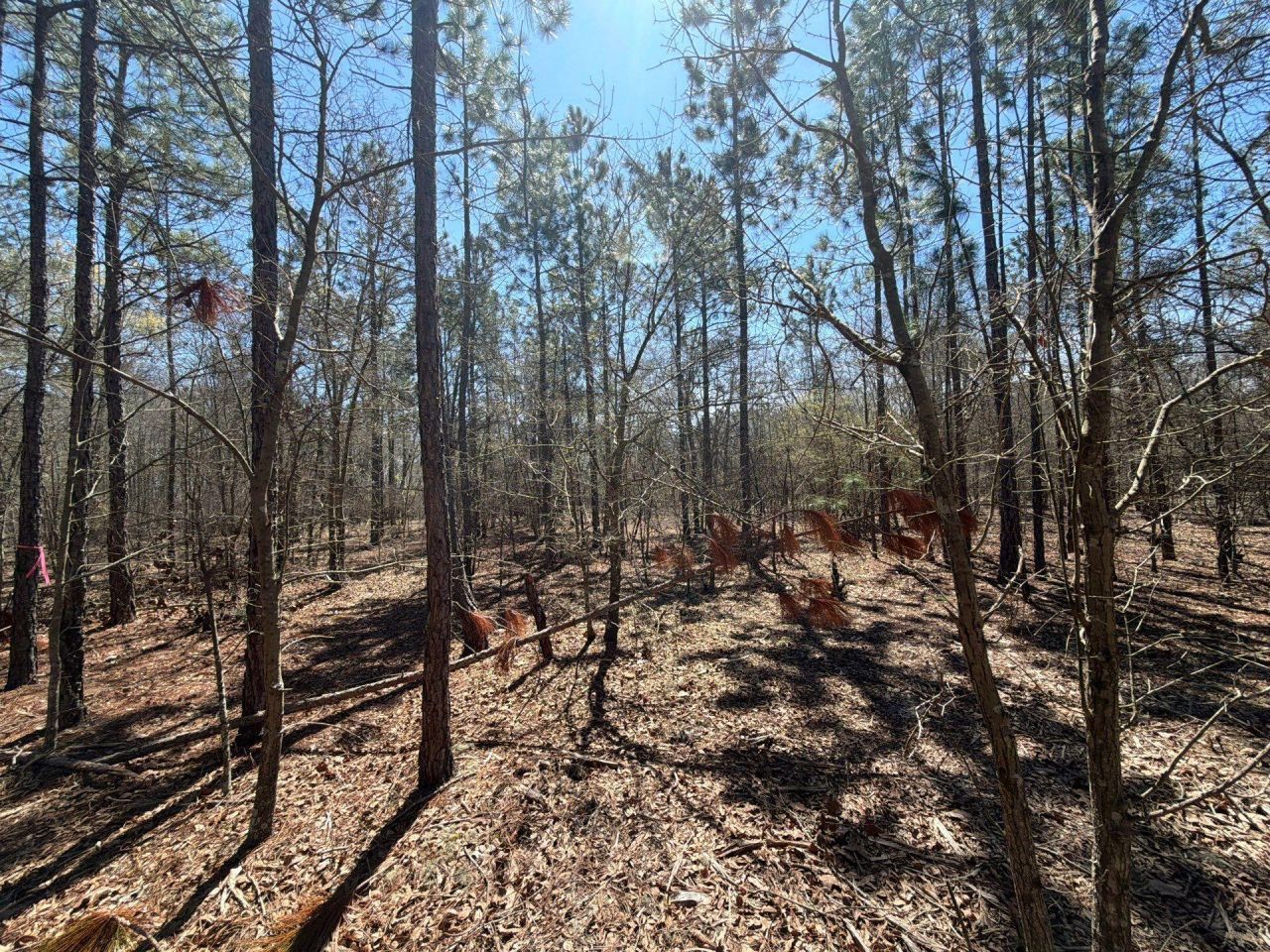 Bhl 9 Boise Cascade Photo 29