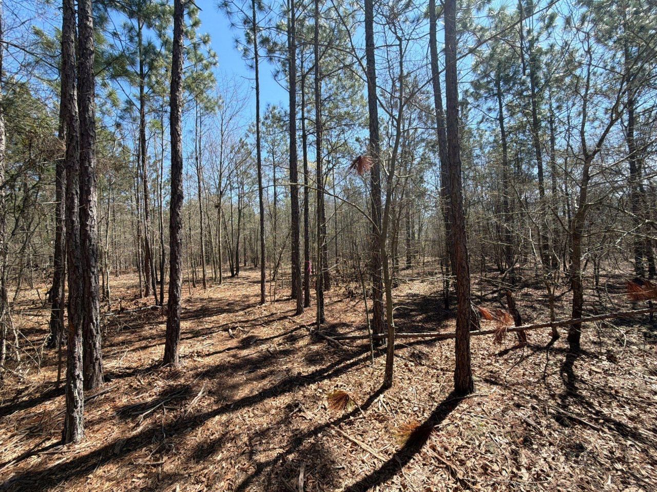 Bhl 9 Boise Cascade Photo 30