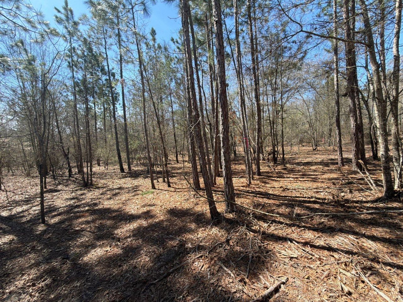 Bhl 9 Boise Cascade Photo 31