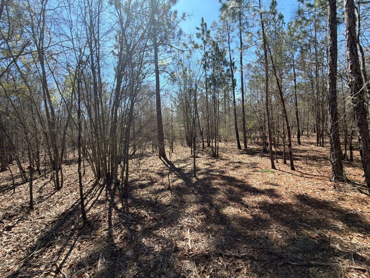 Bhl 9 Boise Cascade Photo 32