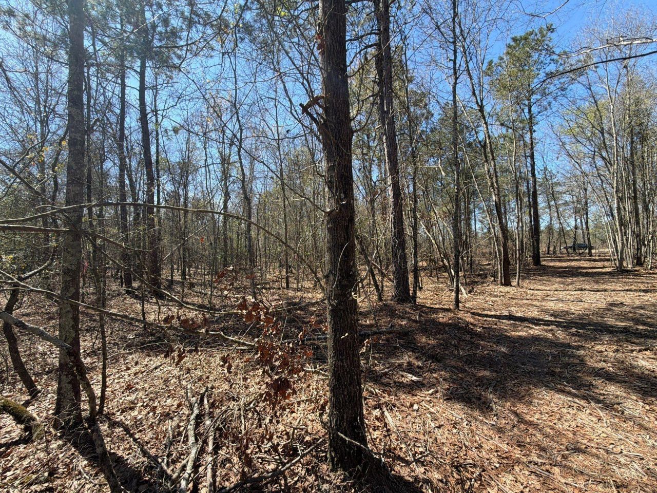 Bhl 9 Boise Cascade Photo 34