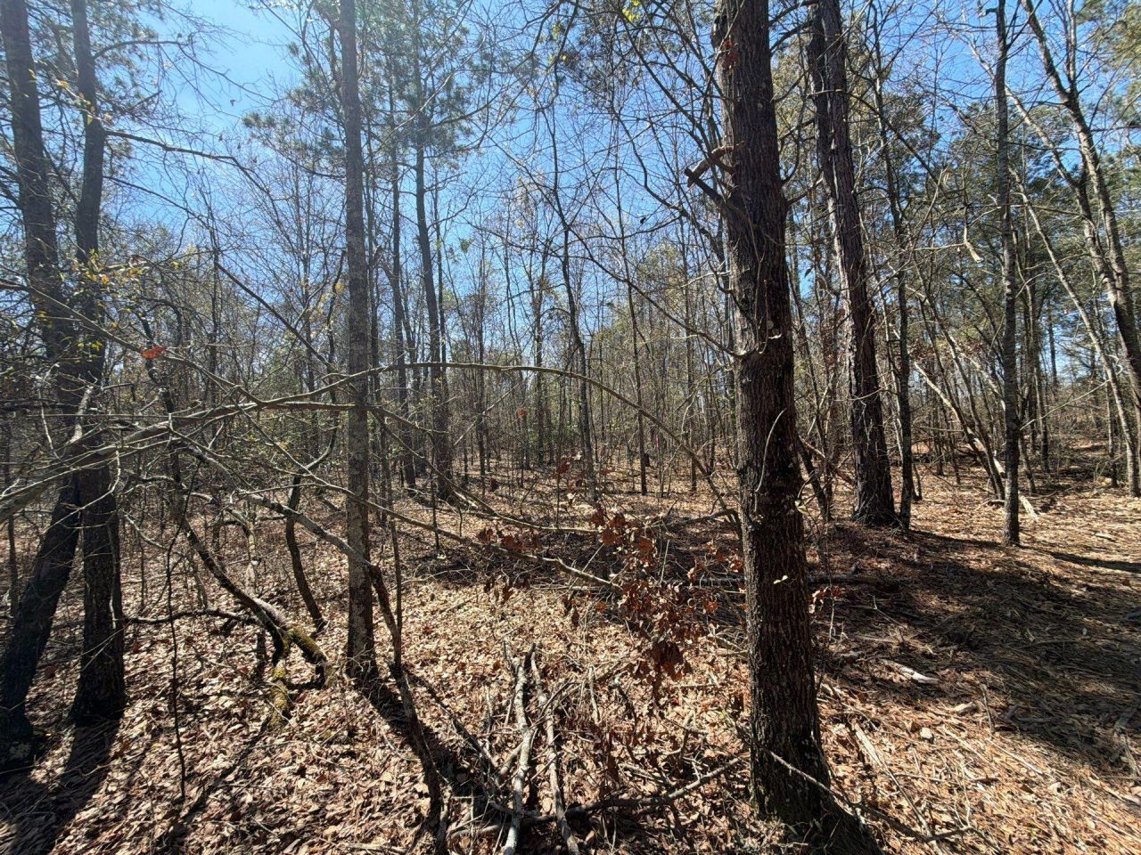 Bhl 9 Boise Cascade Photo 35