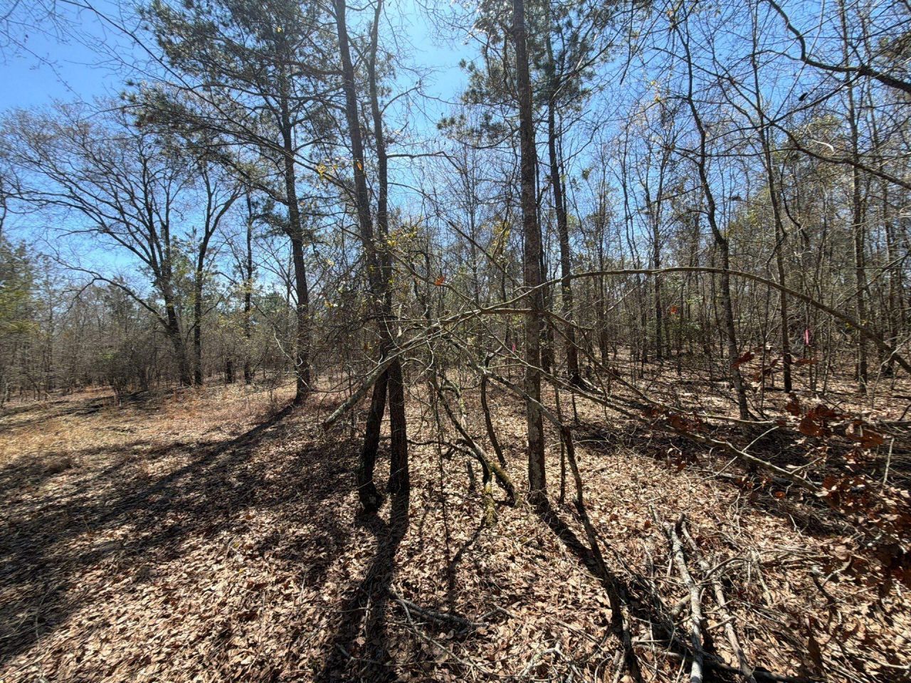 Bhl 9 Boise Cascade Photo 36