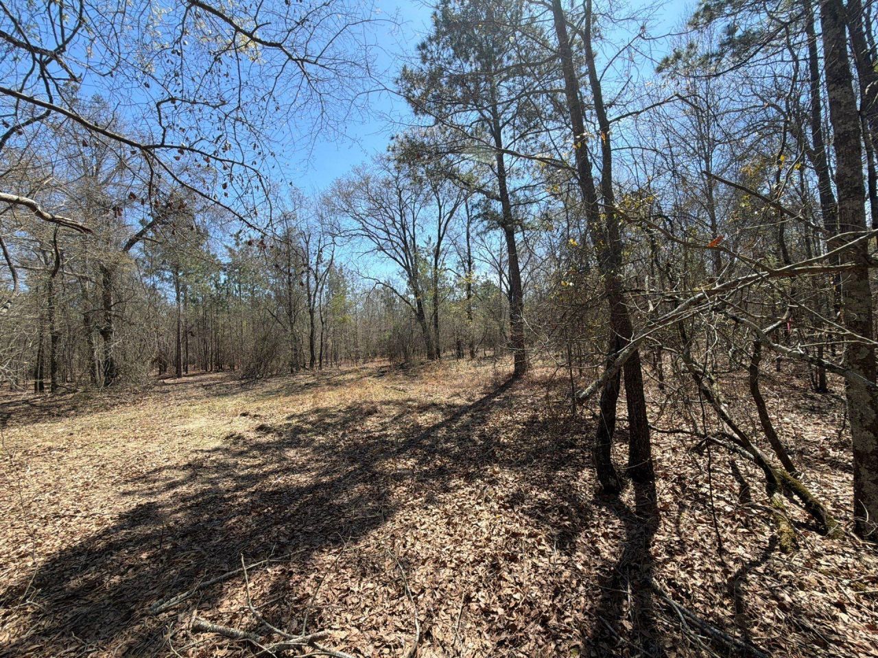 Bhl 9 Boise Cascade Photo 37