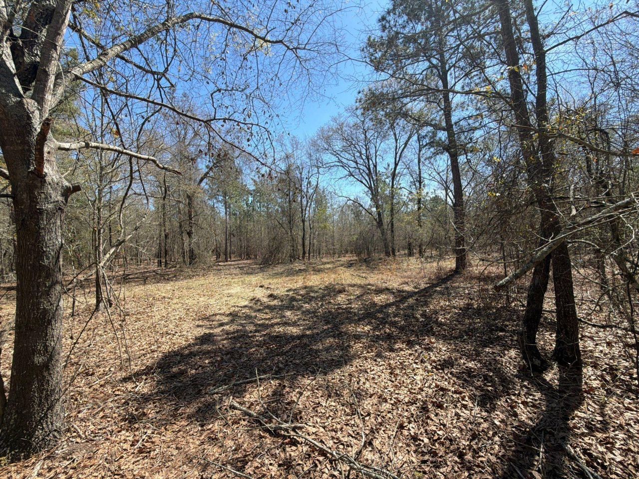 Bhl 9 Boise Cascade Photo 38