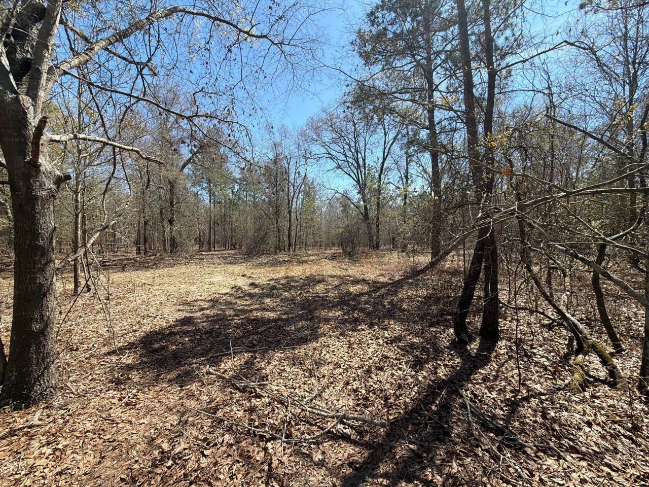 Bhl 9 Boise Cascade Photo 39