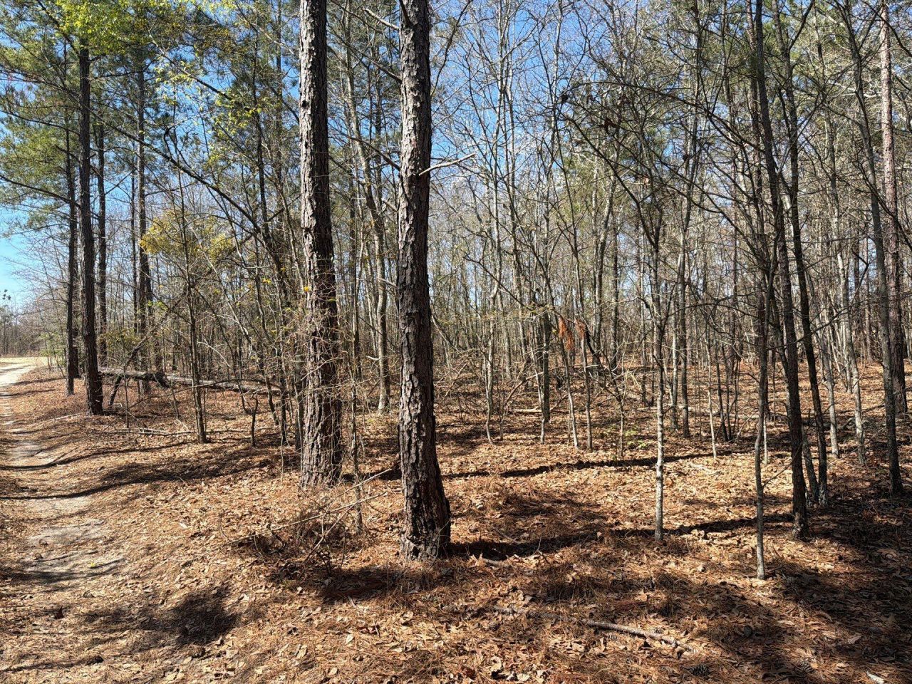 Bhl 9 Boise Cascade Photo 4