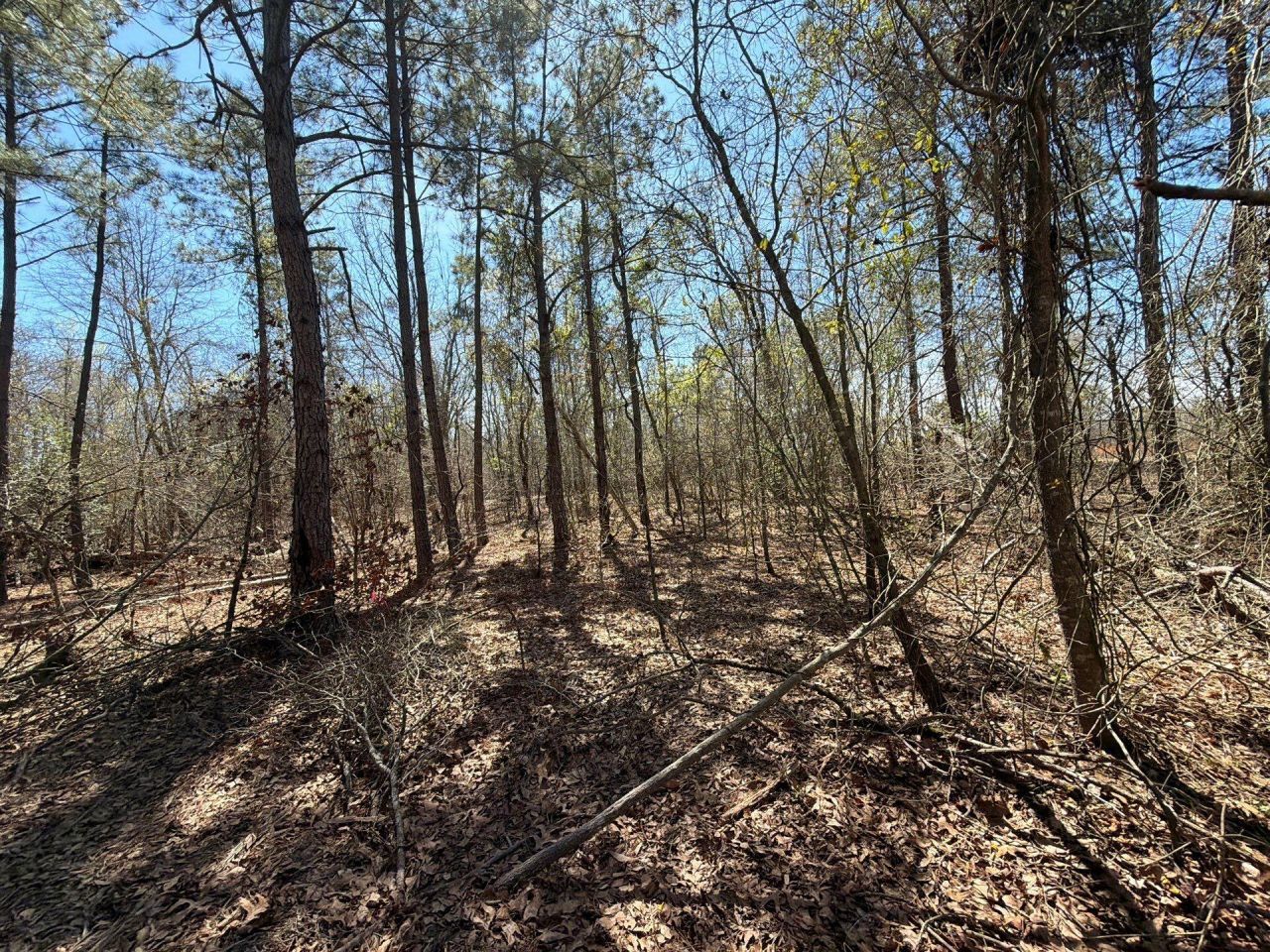 Bhl 9 Boise Cascade Photo 40