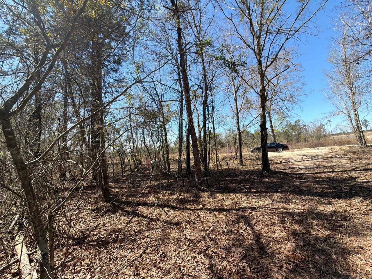 Bhl 9 Boise Cascade Photo 41