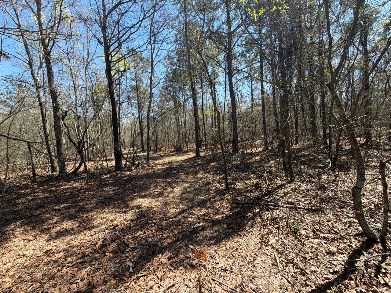 Bhl 9 Boise Cascade Photo 42