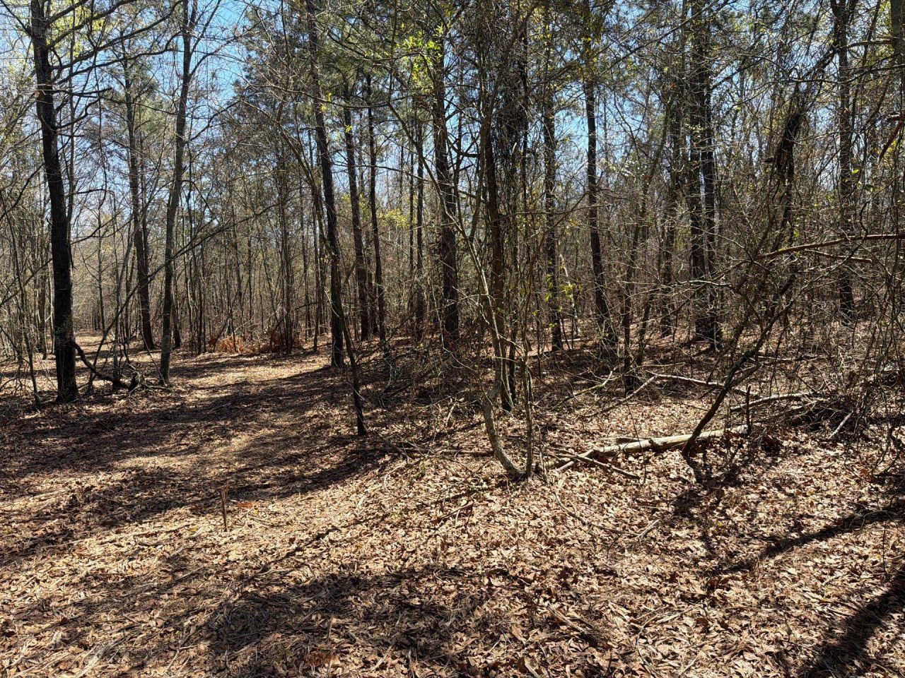 Bhl 9 Boise Cascade Photo 43