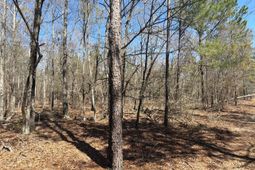 Bhl 9 Boise Cascade photo 4