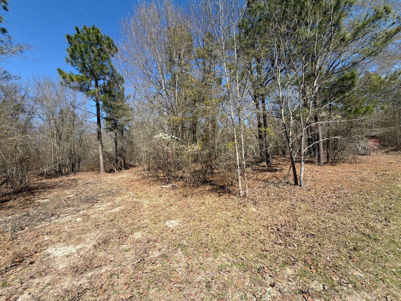 Bhl 9 Boise Cascade Photo 6