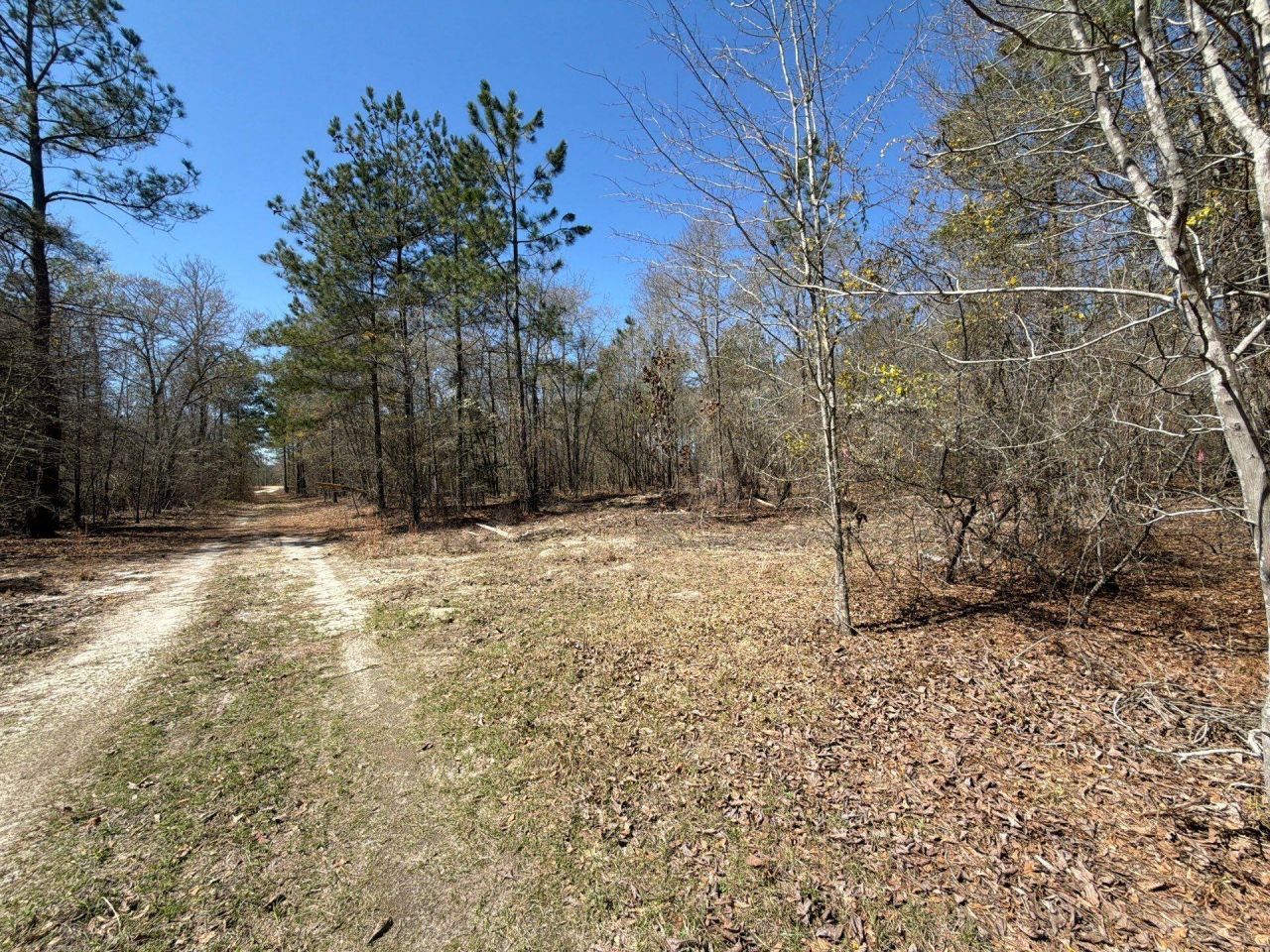 Bhl 9 Boise Cascade Photo 7