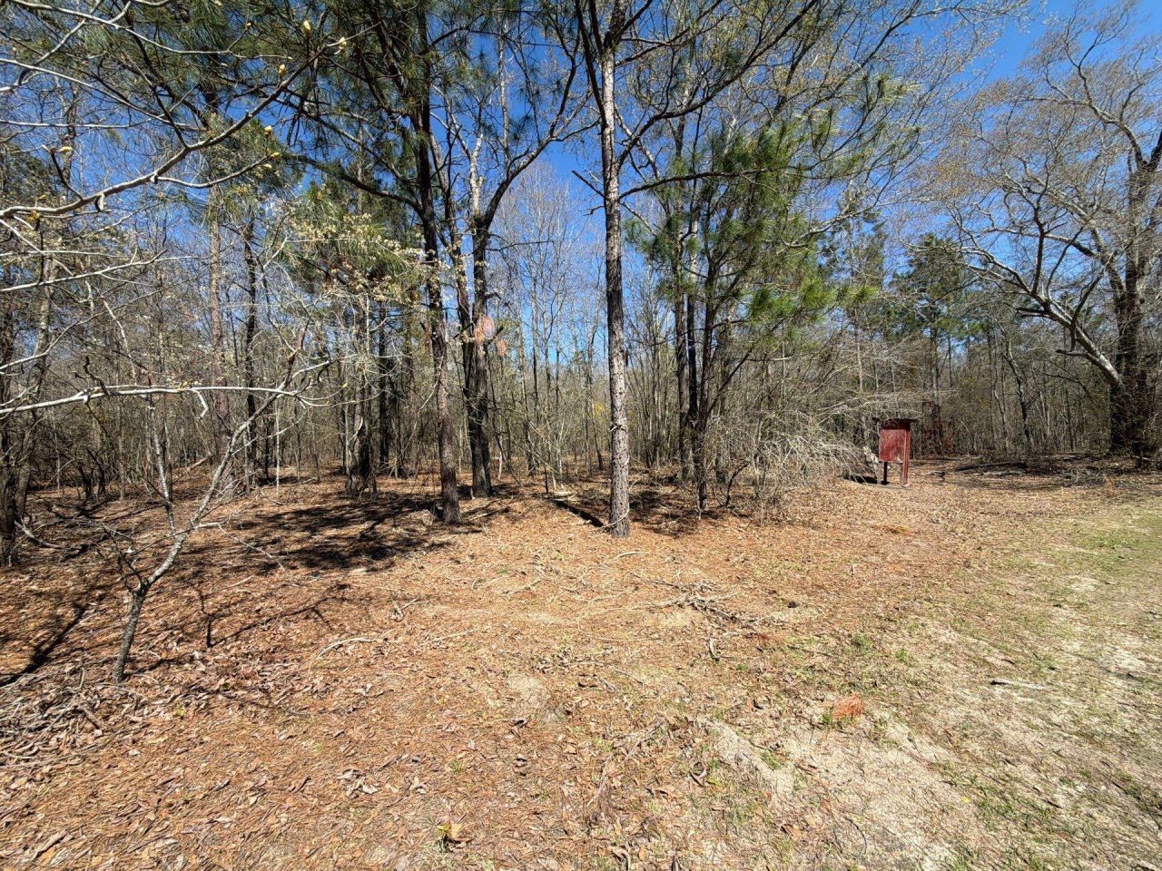 Bhl 9 Boise Cascade Photo 8