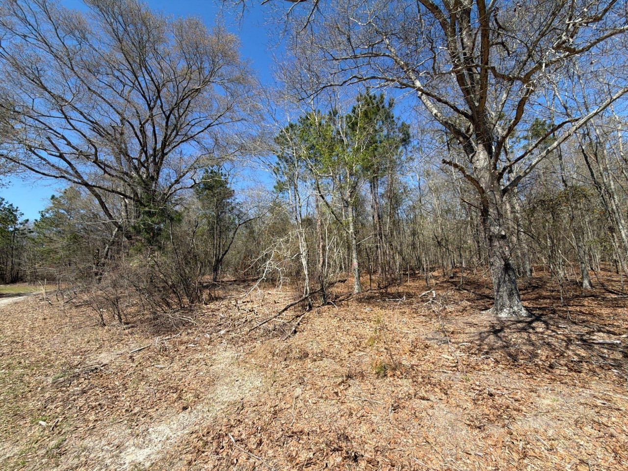 Bhl 9 Boise Cascade Photo 9