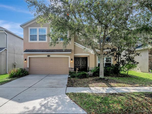 10653 PICTORIAL PARK DRIVE , TAMPA, FL 33647