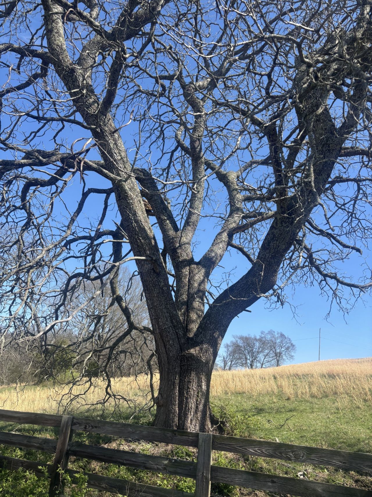 9849 Sam Donald Rd, Nolensville, TN 37135 Main Photo