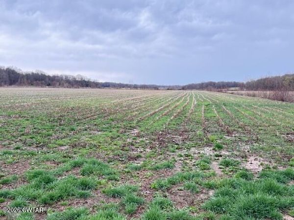 00 Strayleaf Road, Wildersville, TN 38388