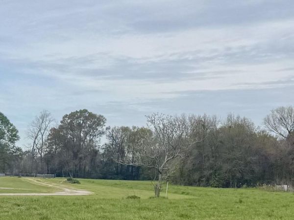 TBD Oakland Rd, Lakeland, LA 70752