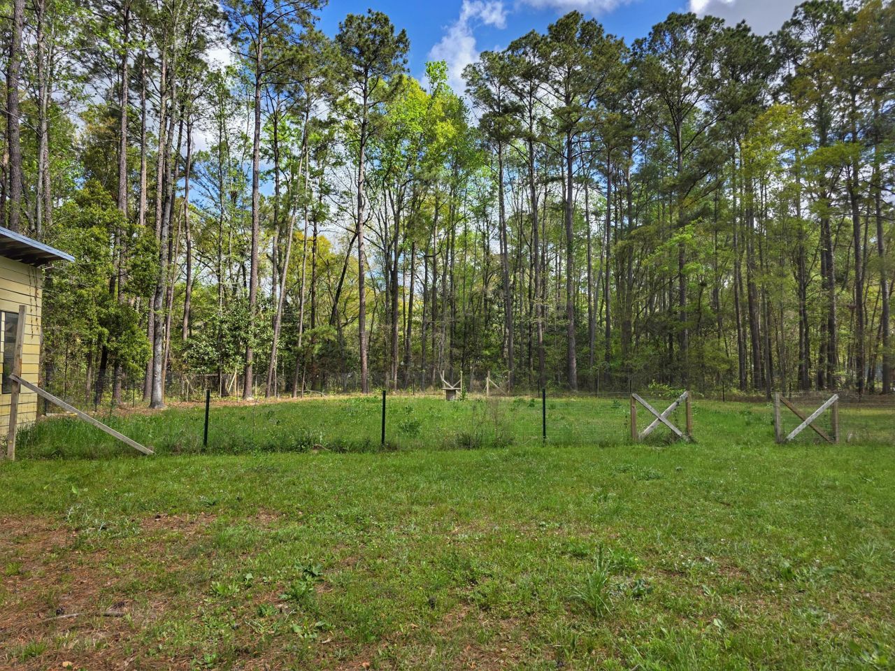 120 White Picket Lane Photo 23