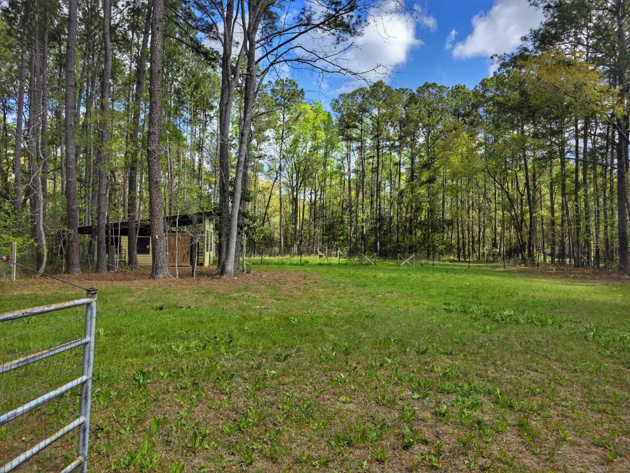 120 White Picket Lane Photo 24