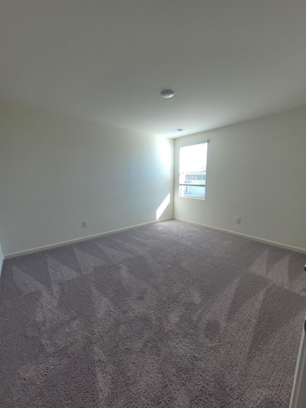 1257 Carriage Wood Circle Photo 16